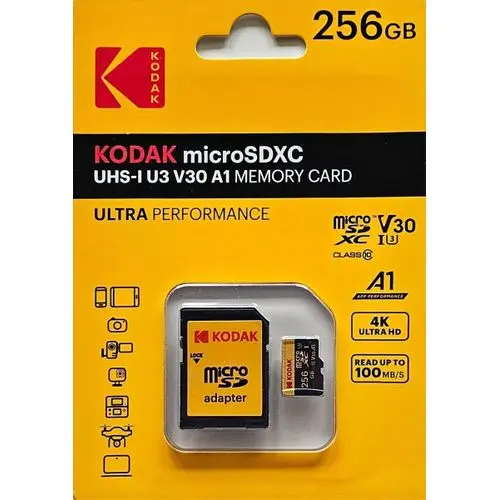 CARTE MEMOIRE 256GB